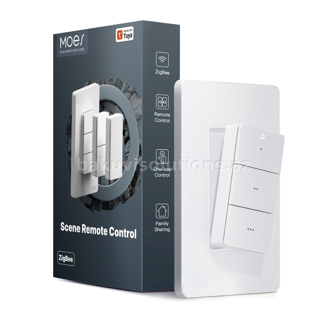 Boz rəngli Ağıllı Keçid (Smart Switch) - Təkli Panel